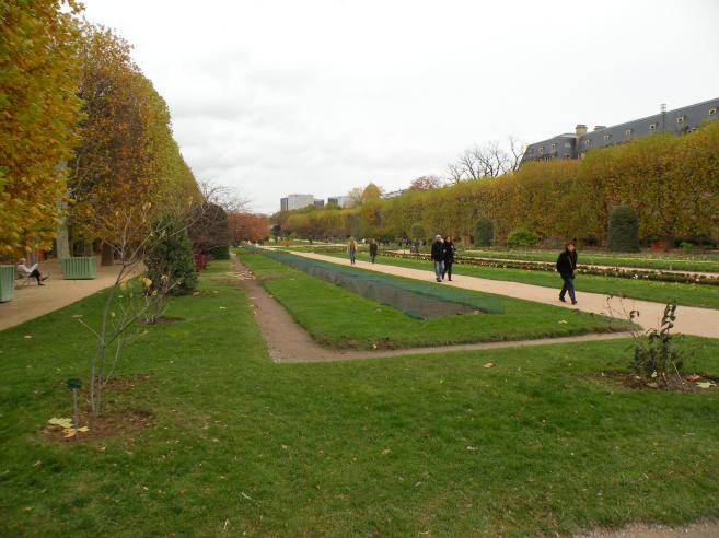  jardin des plantes, automne